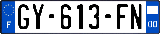 GY-613-FN