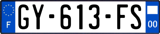 GY-613-FS