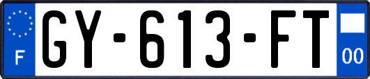 GY-613-FT