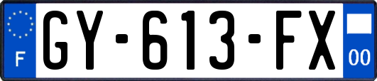 GY-613-FX