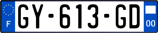 GY-613-GD