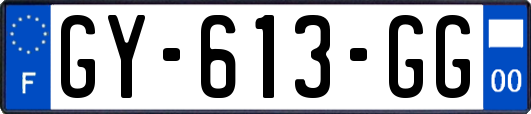 GY-613-GG