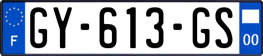 GY-613-GS