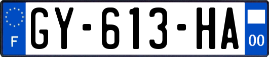GY-613-HA