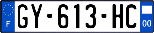 GY-613-HC