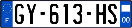 GY-613-HS