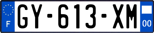 GY-613-XM