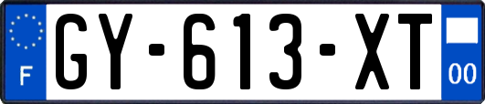 GY-613-XT