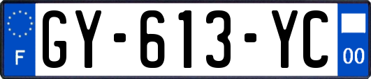 GY-613-YC