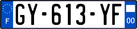 GY-613-YF