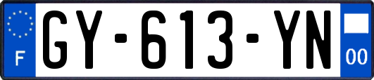 GY-613-YN