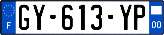 GY-613-YP