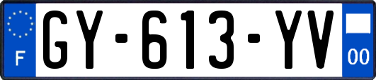 GY-613-YV