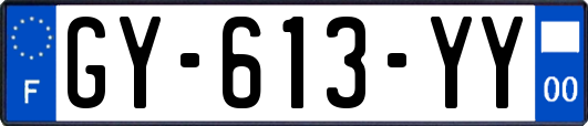 GY-613-YY