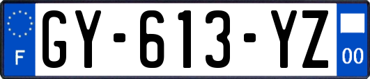 GY-613-YZ