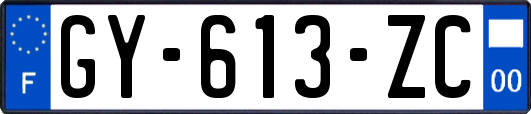 GY-613-ZC