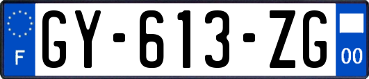 GY-613-ZG