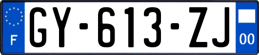 GY-613-ZJ