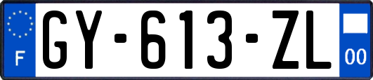 GY-613-ZL