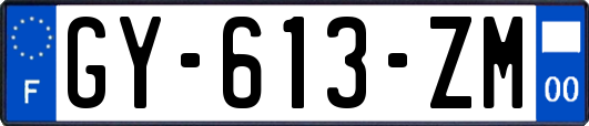 GY-613-ZM