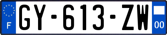 GY-613-ZW