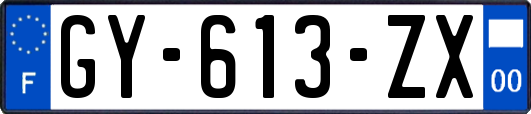 GY-613-ZX