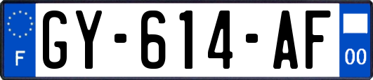 GY-614-AF