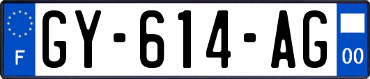GY-614-AG