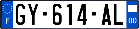 GY-614-AL