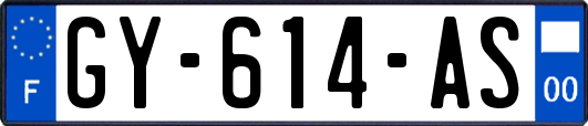 GY-614-AS