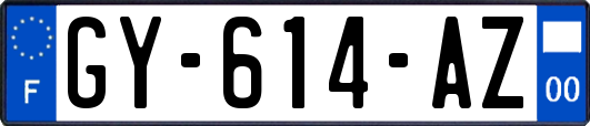 GY-614-AZ