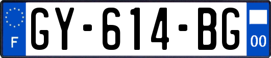 GY-614-BG