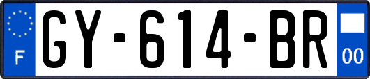 GY-614-BR