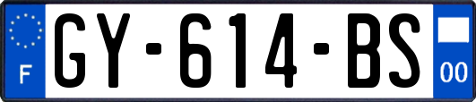 GY-614-BS