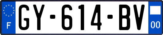 GY-614-BV