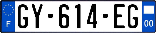 GY-614-EG