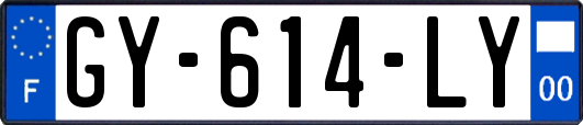 GY-614-LY