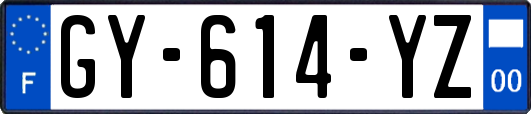 GY-614-YZ