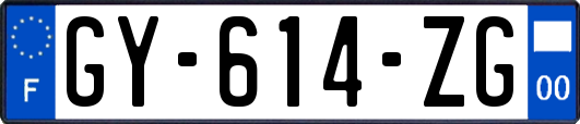 GY-614-ZG