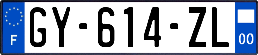 GY-614-ZL