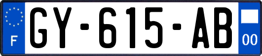 GY-615-AB