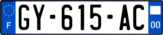 GY-615-AC