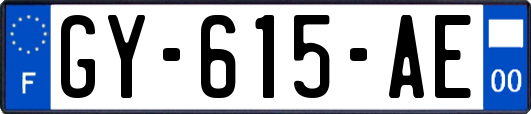 GY-615-AE