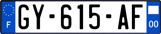 GY-615-AF