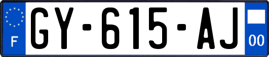 GY-615-AJ