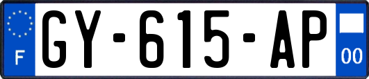 GY-615-AP