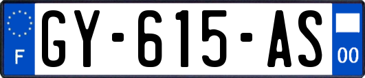 GY-615-AS