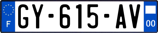 GY-615-AV