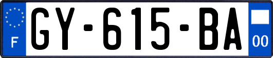 GY-615-BA