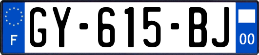 GY-615-BJ